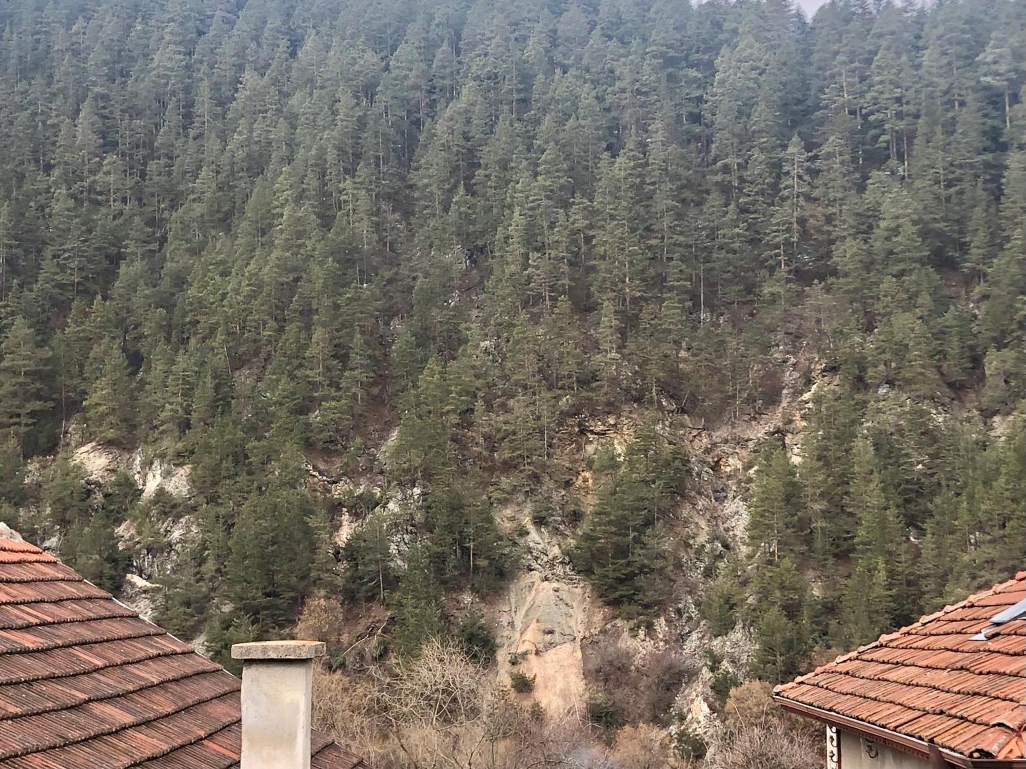 בלי איסקור Niya Guest House מראה חיצוני תמונה